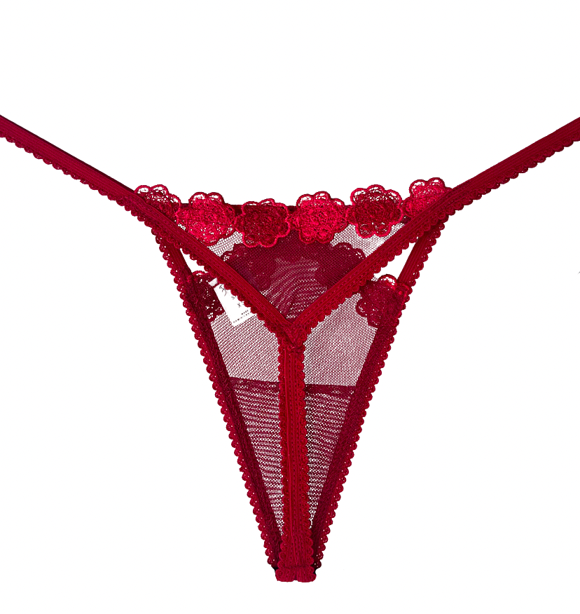 Carmesí Lingerie Set - Image 4